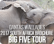 View our 2017 South Africa Tour Brochure